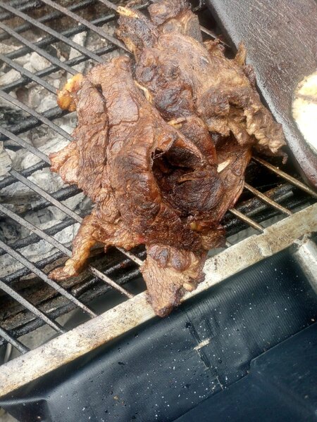 Roasted t bone