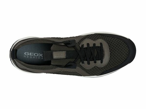 Basket GEOX