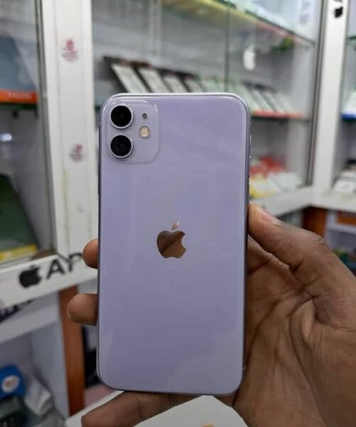 iPhone 11 - Variété Colorée