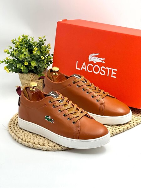 Lacoste men shoe