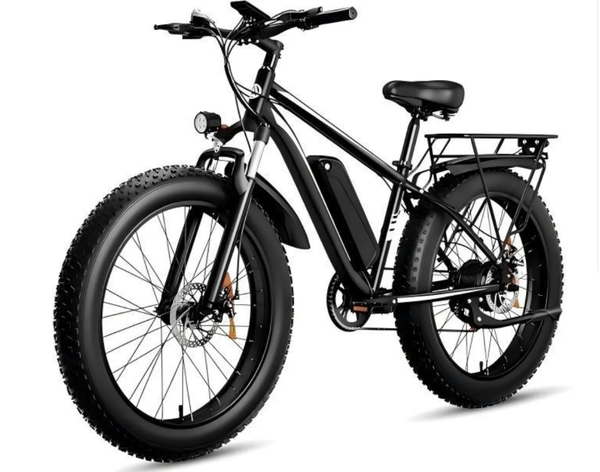 Vélo Électrique Fat Bike