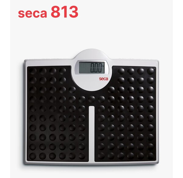 SECA 813 WEIGHING SCALE