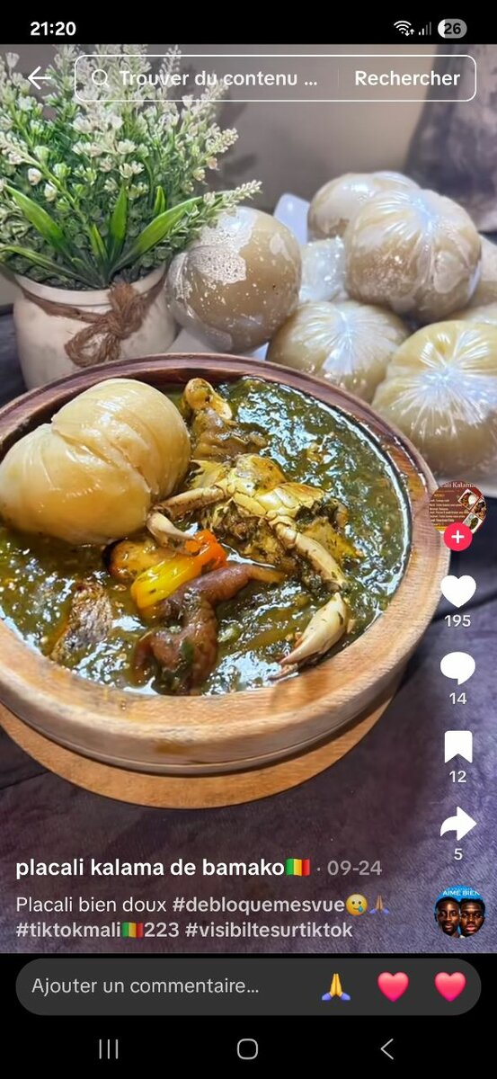 Délicieux Plats Africains