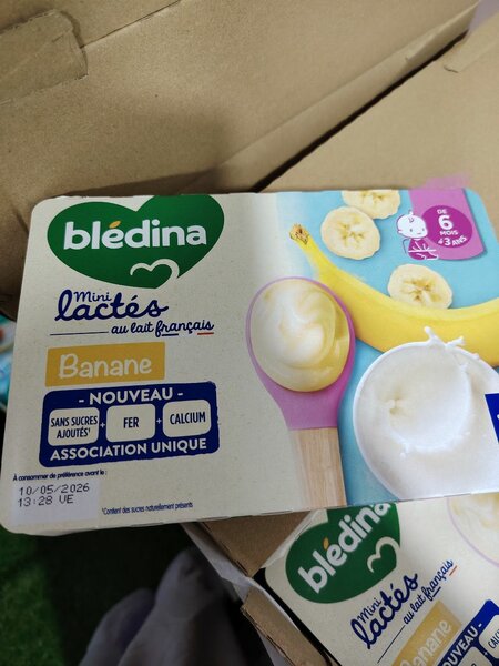 Dessert lacté banane Blédina