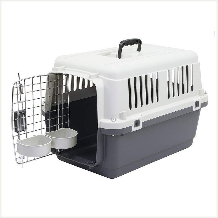 Cage de Transport pour Animaux