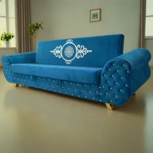 Designer Sofa Cum Beds