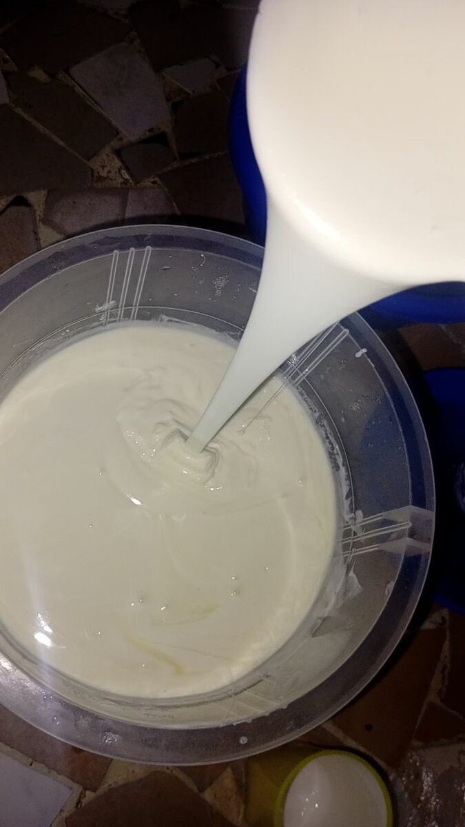 Lait caillé naturel