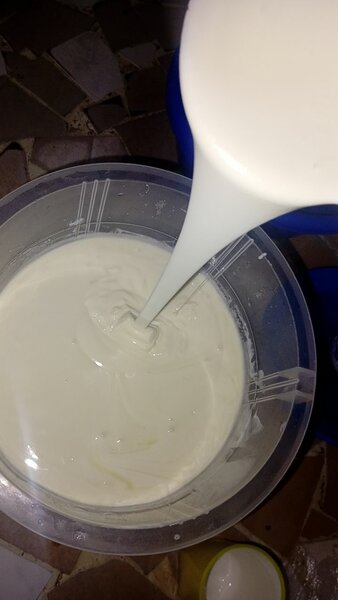 Lait caillé naturel