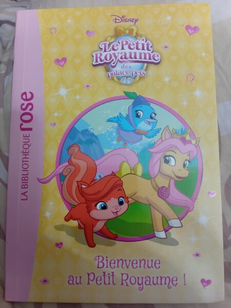 Livre enfant Le Petit Royaume