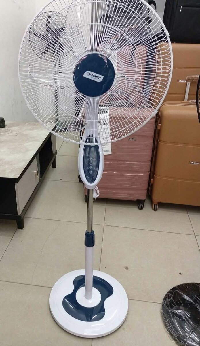 Ventilateur sur pied puissant