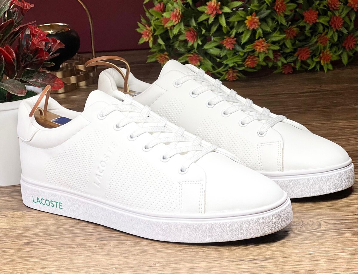Lacoste classic men (white )