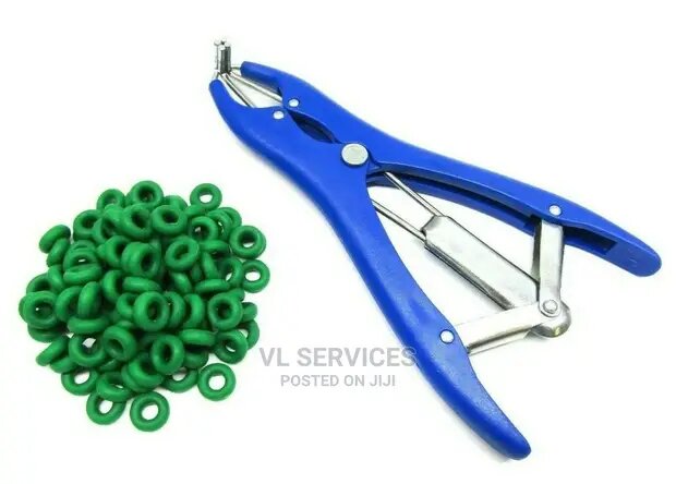 Puppy tail docking bands .