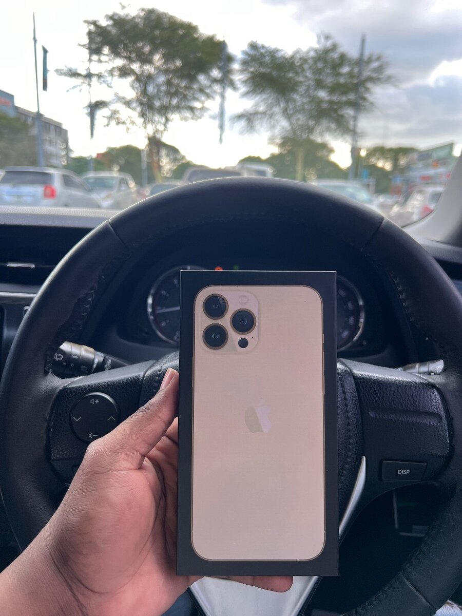 iPhone 13 Pro Max 256GB