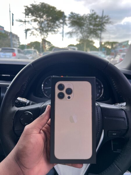 iPhone 13 Pro Max 256GB