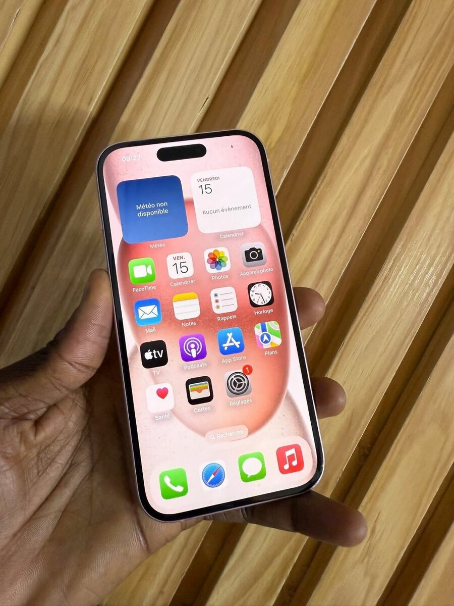 iPhone 15Pro Max 256Go