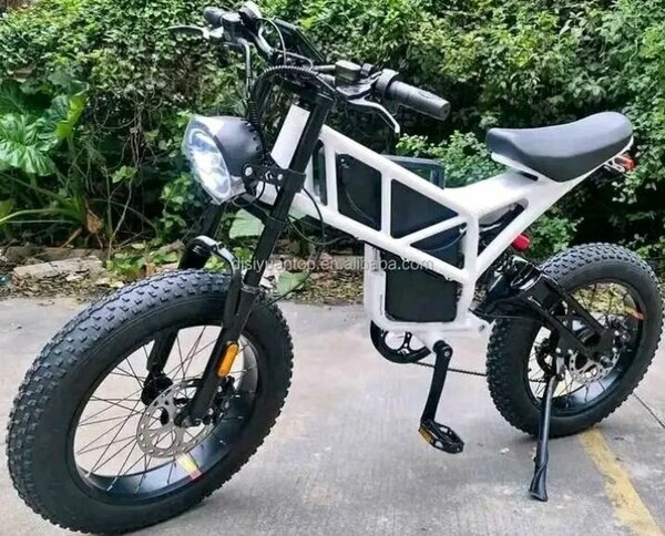 Vélo Électrique Tout Terrain Blanc