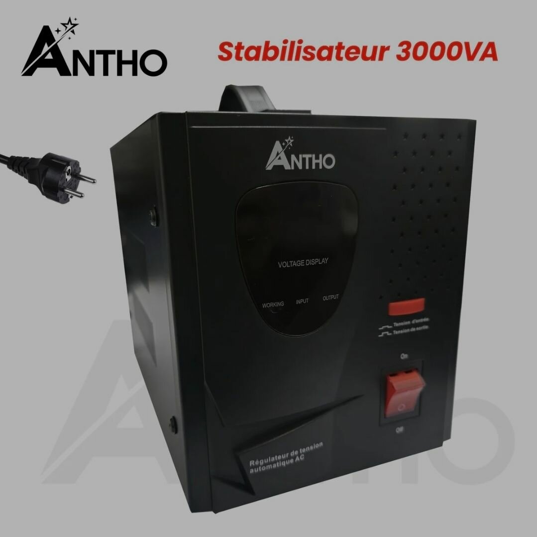 STABILISATEUR 3000VA