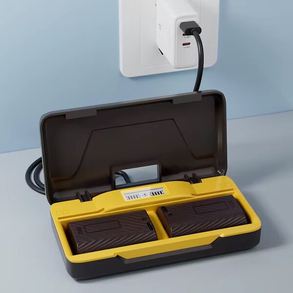 Chargeur de Batterie Dual