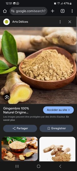 Poudre Akpi et ggingembre 1kg
