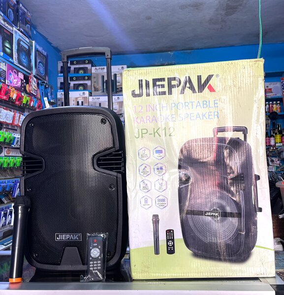Enceinte portable Karaoké 12"