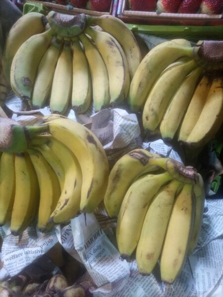 Banana 12 pcs