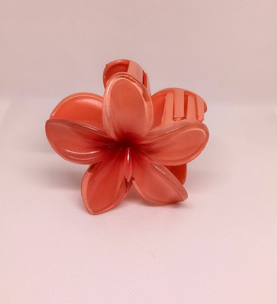 Pinces à cheveux fleurs colorées