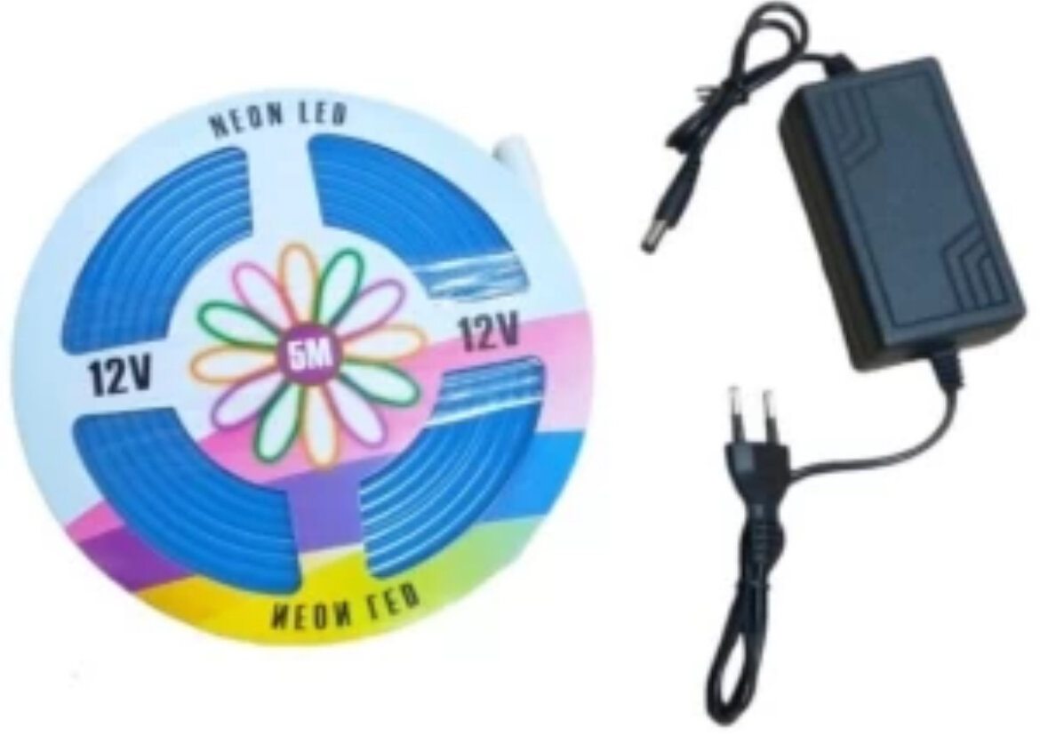 Bande LED Néon 5M 12V