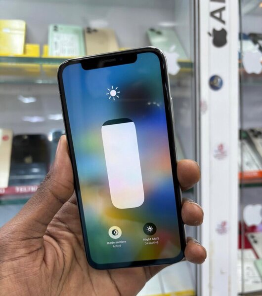 iPhone X argent 256 Go