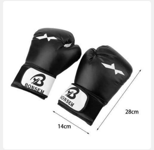 Gants de Boxe Professionnels Bonsem