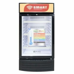 Mini Réfrigérateur Smart