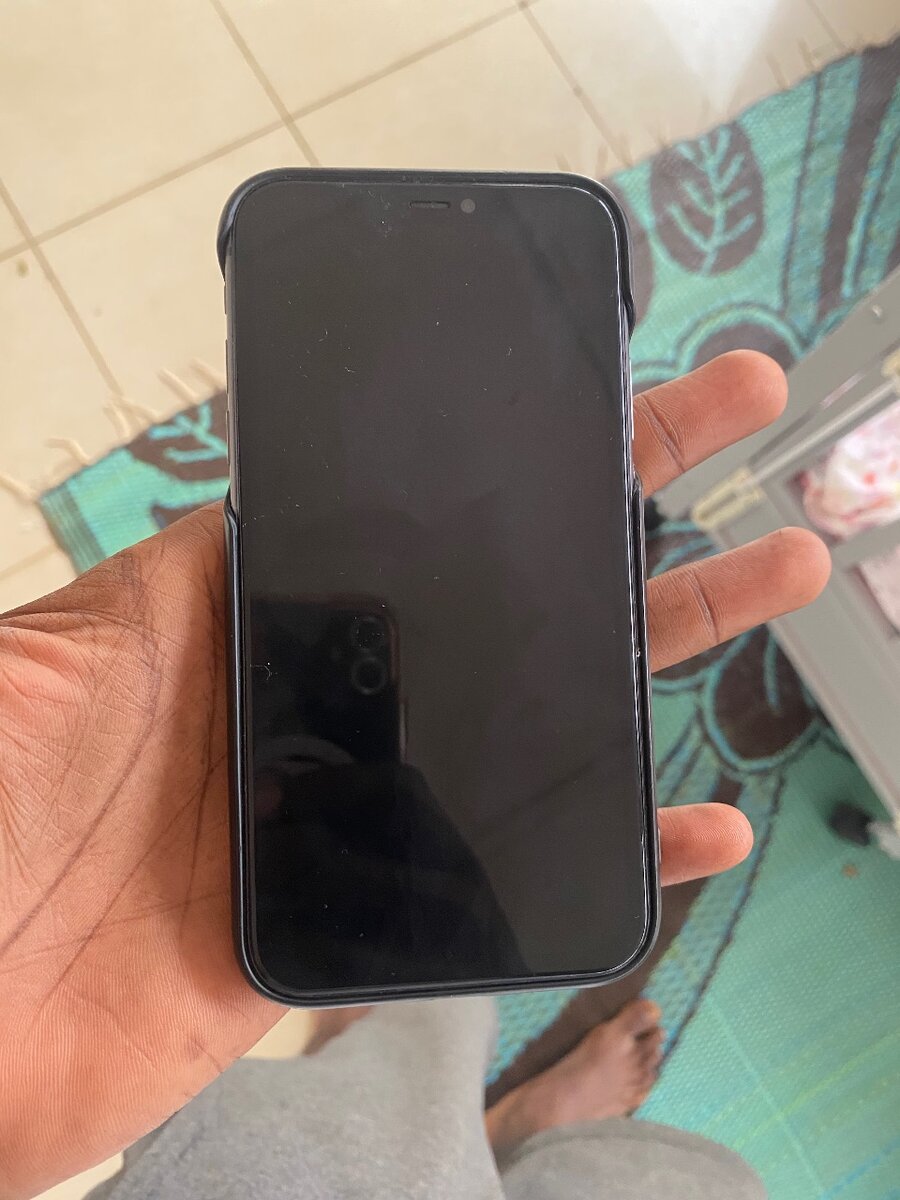 iPhone avec écran Retina HD