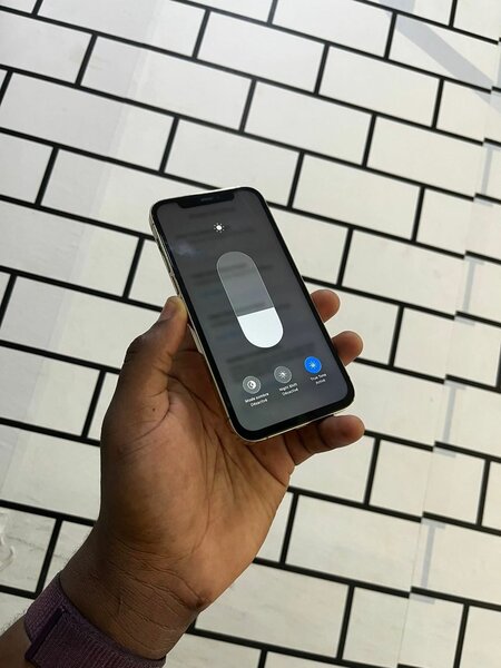 Apple iPhone Pro Max