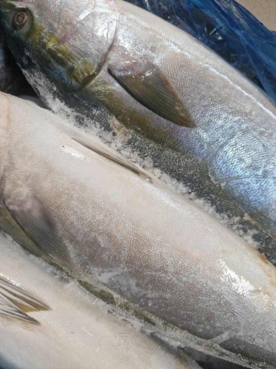 Poisson frais de mer