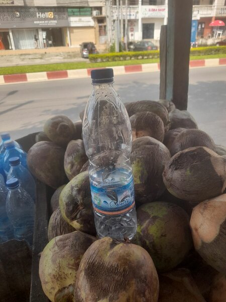 L'eau de coco frais