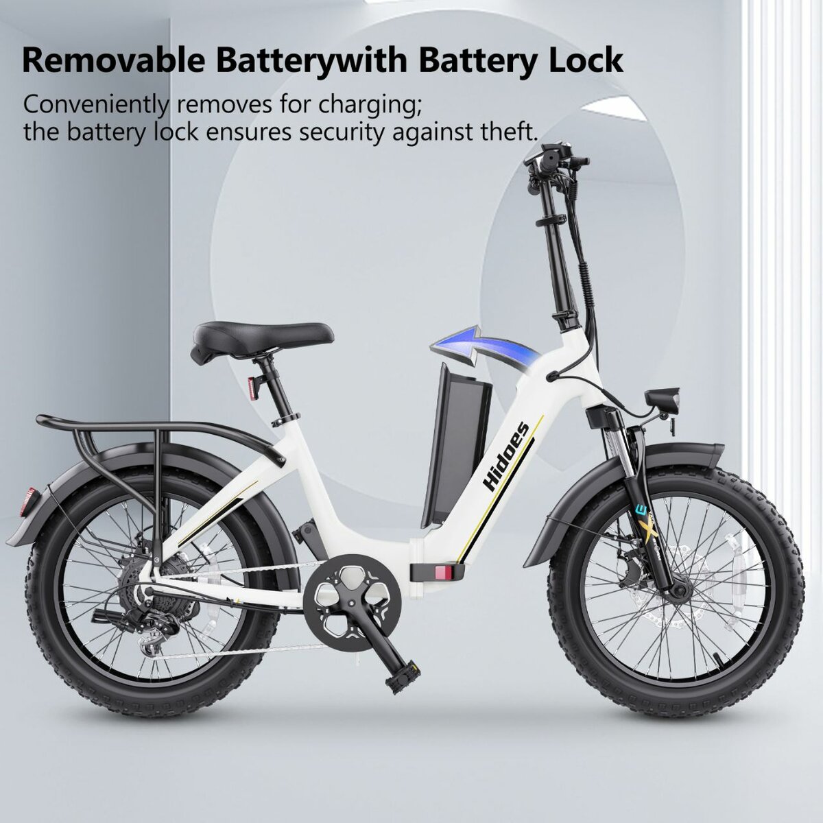 Vélo Électrique avec Batterie Amovible