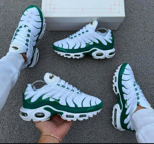 BASKET TN LACOSTE