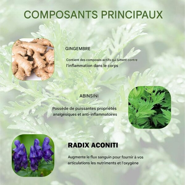 Patchs Soulagement Douleur Hyllis