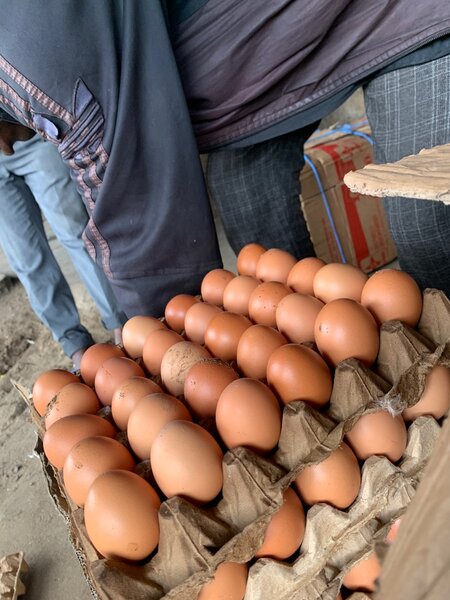 Œufs frais de ferme