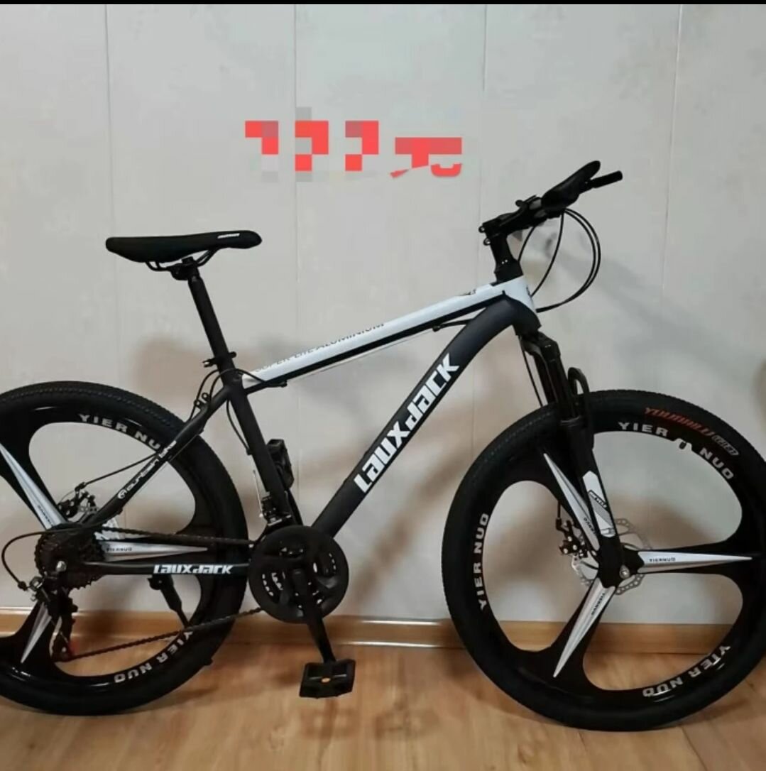 Vélo tout-terrain robuste