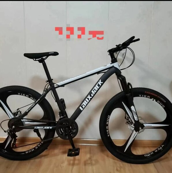 Vélo tout-terrain robuste
