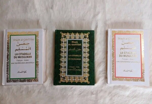 Lot de livres islamiques