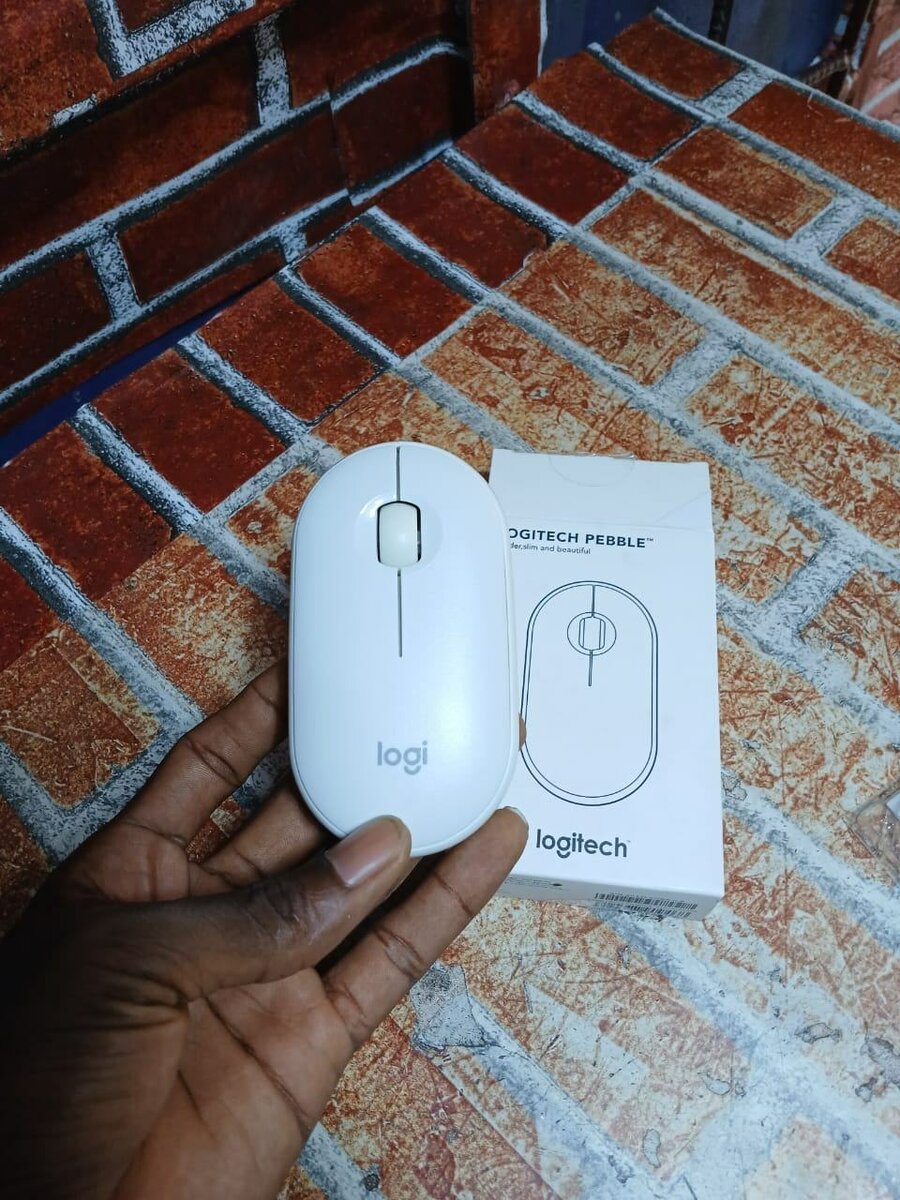 Souris Logitech wireless et bluetooth (A pile)