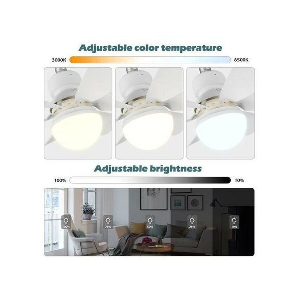 Ventilateur de Plafond avec Lumière LED - Rafraîchissez et I