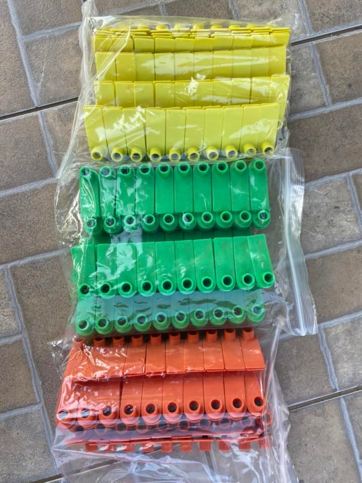 Plain/Unnumbered tags for goats/sheep/pigs