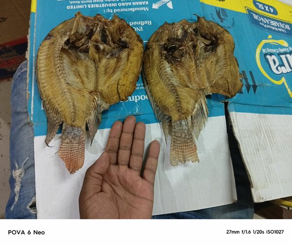 Dry open bream's regular