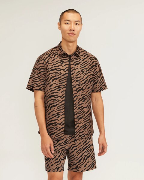 Everlane Shirt