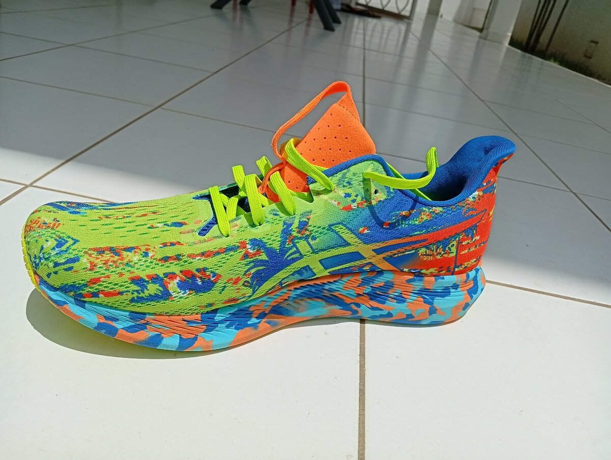 Asics noosa TRI 14 M homme