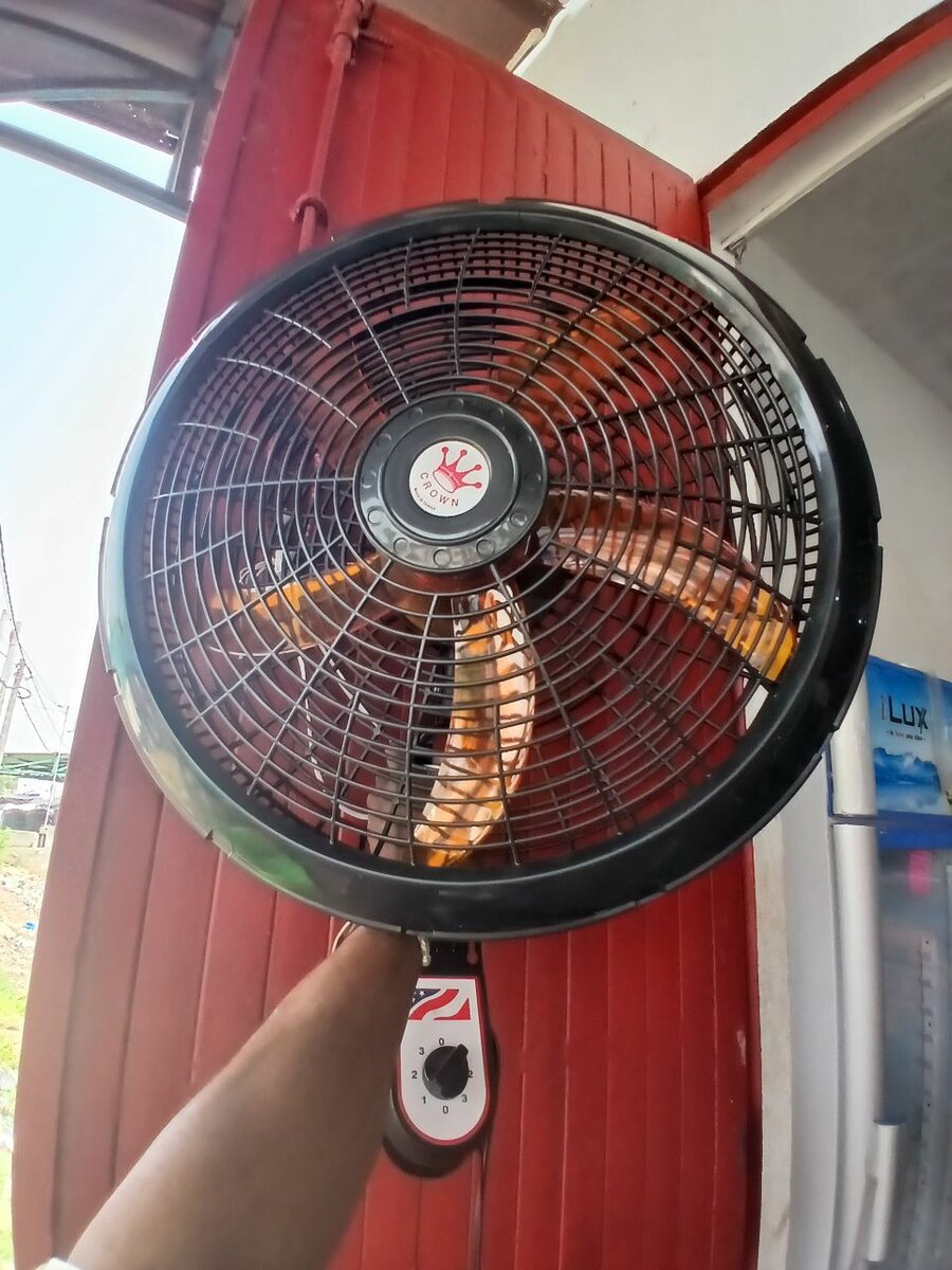 Ventilateur mural électrique