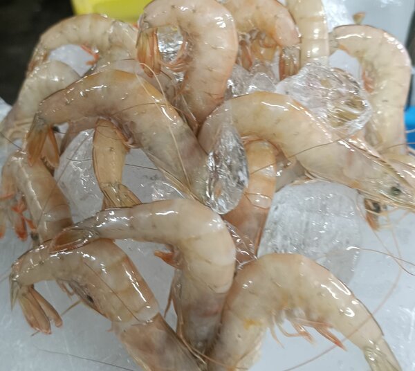 Crevettes