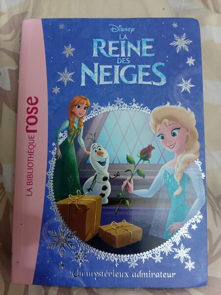 Livre Enfant Reine des Neiges